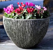 Concrete Pots & Planters