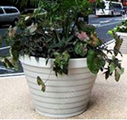 Concrete Pots & Planters