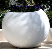 Concrete Pots & Planters